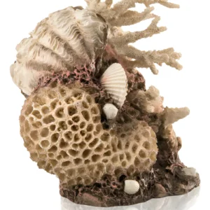 Adorno Decorativo BiOrb de Concha de Coral Natural Auténtica para Acuarios: Embellece tu Ecosistema Acuático con Elegancia y Diseño Natural