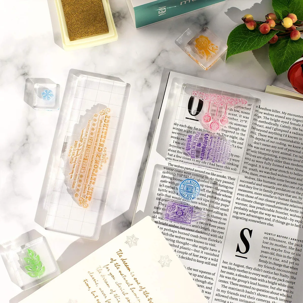 Juego de 6 Herramientas de Estampación Transparentes - CraftSmart: Diseño Versátil y Preciso para Proyectos DIY y Artesanales - Modelo CS-STAMP6 - Ide