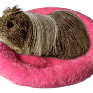 Cama Redonda de Lujo para Hámster y Mascotas Pequeñas: Suave Terciopelo Térmico, Marca CozyCritters, Modelo Luna, Diseño Acogedor y Fácil de Limpiar,