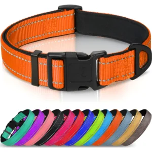 Collar para Perro Ajustable y Transpirable de Neopreno Naranja N - Diseño N - Confort y Seguridad para tu Mascota - Ajuste Perfecto y Durabilidad