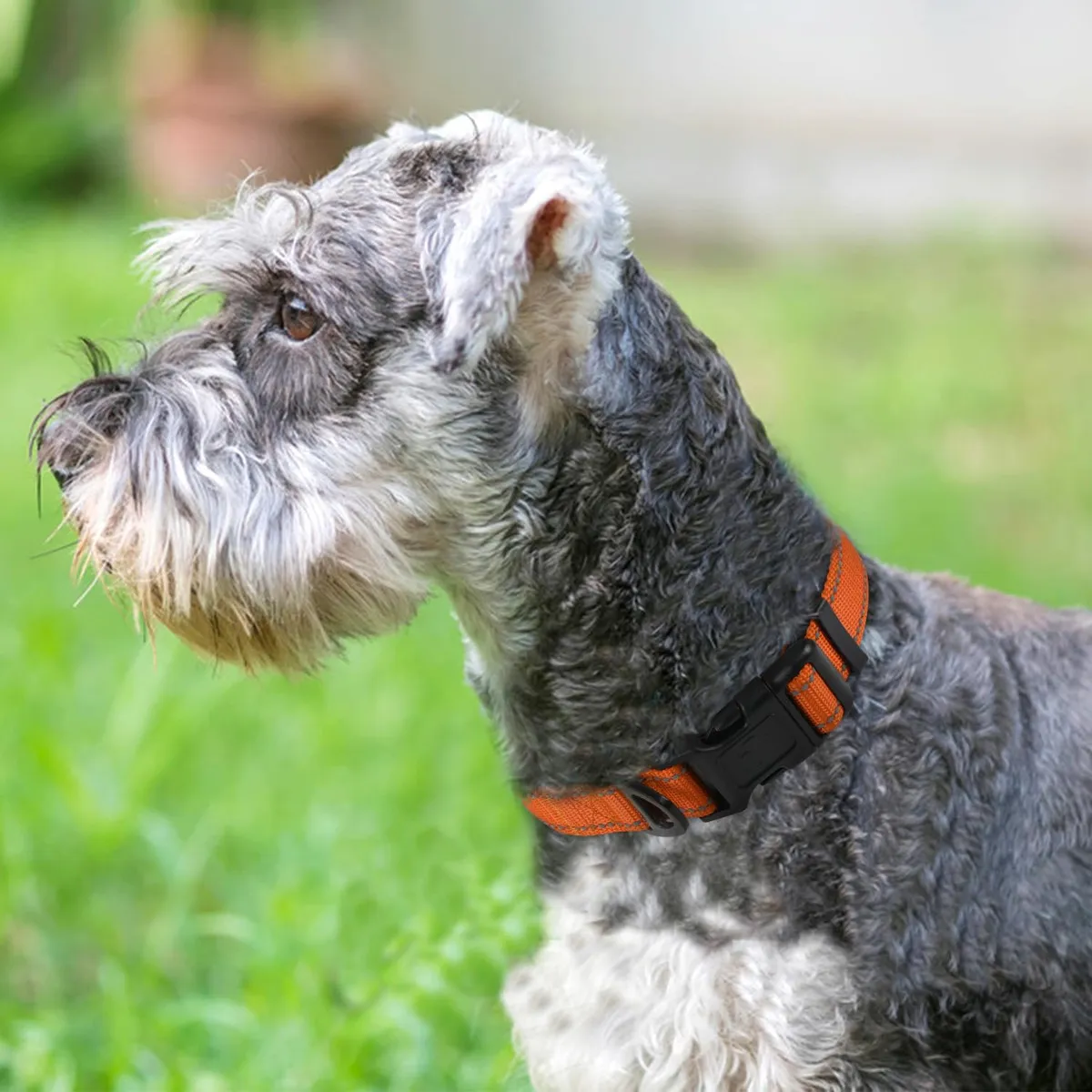 Collar para Perro Ajustable y Transpirable de Neopreno Naranja N - Diseño N - Confort y Seguridad para tu Mascota - Ajuste Perfecto y Durabilidad