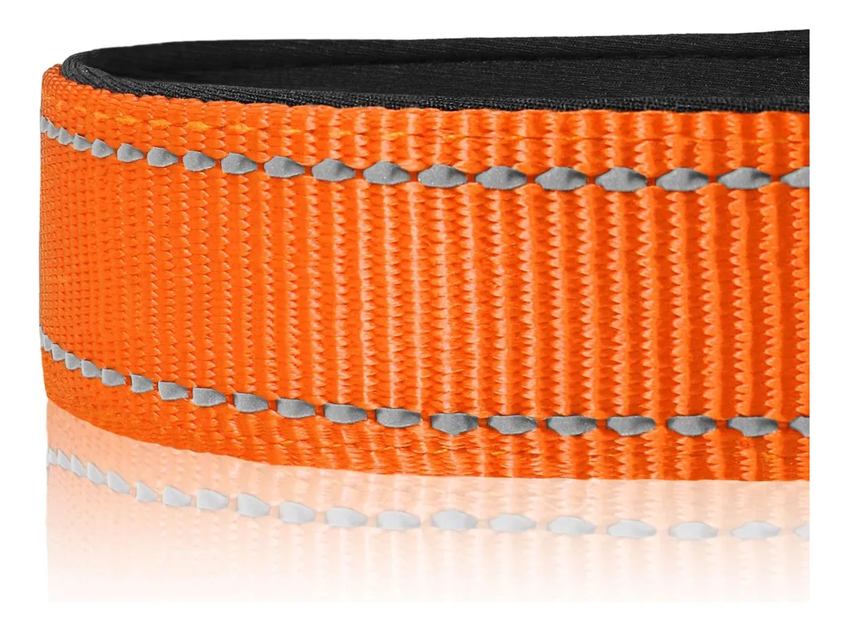 Collar para Perro Ajustable y Transpirable de Neopreno Naranja N - Diseño N - Confort y Seguridad para tu Mascota - Ajuste Perfecto y Durabilidad