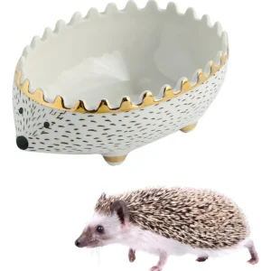 Tazón de Cerámica Erizo 'PetZen' para Mascotas Pequeñas: Diseño Seguro y Duradero, Ideal para Alimentos y Agua, Fácil de Limpiar, Modelo HZL-001