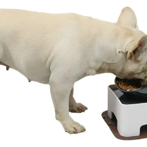 Cuencos Elevados de Cerámica para Mascotas, Marca 'Happy Tails' - Modelo Elegance Negro: Diseño Ergonómico, Antideslizante y Fácil Limpieza, Ideal par