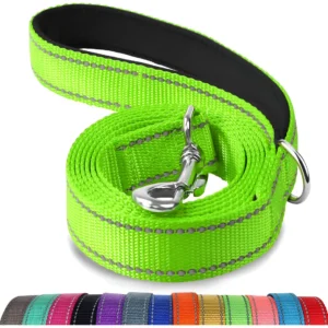 Correa Reflectante Doble Cara Acolchada para Perro, Marca PetSafe, Modelo Deluxe Verde/Verde, Mayor Seguridad Nocturna y Comodidad para Paseos