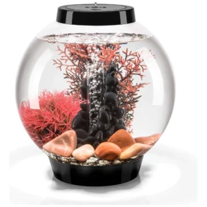Acuario Biorb Classic 15 Set Stone River Negro: Elegancia y Facilidad para tu Hogar. Acuario de 15 Litros, Diseño Esférico, Iluminación LED y Sistema