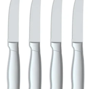 Set de Cuchillos de Cocina Premium [Marca X] - Juego de 4 Piezas con Mangos Huecos de Acero Inoxidable, Filo Preciso y Diseño Ergonómico - Modelo [Núm