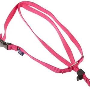 Collar de Adiestramiento Petsafe para Perros: Control Suave y Efectivo con DVD Instructivo - Tallas Grandes y XL para un Adiestramiento Integral