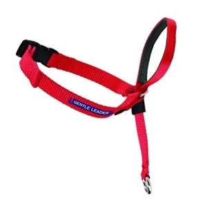 Collar para Cabeza PetSafe®: Control Suave y Eficaz para Perros Pequeños + DVD de Entrenamiento Paso a Paso - Modelo Gentle Leader - Fácil de Usar y M