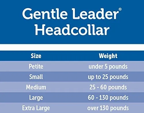 Collar de Adiestramiento Petsafe para Perros: Control Suave y Efectivo con DVD Instructivo - Tallas Grandes y XL para un Adiestramiento Integral