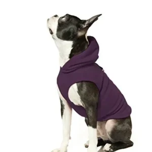 Chaleco Suéter con Gorra para Perro: Diseño ArX en Tejido Suave y Cálido. Ideal para Clima Frío. Disponible en Varias Tallas y Colores. ¡Protege a tu