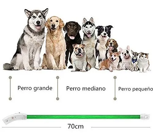 Collar LED Recargable para Perro ArX: Visibilidad Nocturna Superior con Luz Fosforescente, Resistente al Agua, Ajustable y Seguro. ¡Mantén a tu Mascot