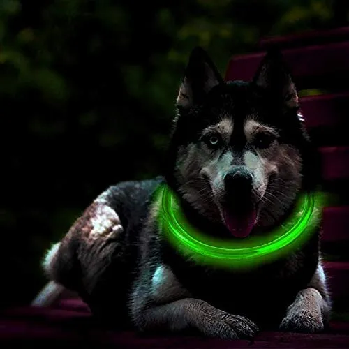 Collar LED Recargable para Perro ArX: Visibilidad Nocturna Superior con Luz Fosforescente, Resistente al Agua, Ajustable y Seguro. ¡Mantén a tu Mascot
