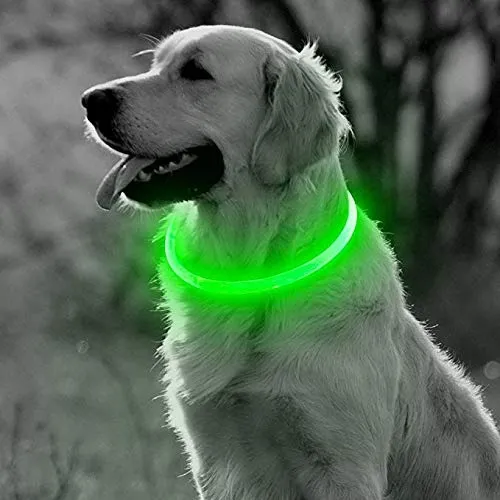 Collar LED Recargable para Perro ArX: Visibilidad Nocturna Superior con Luz Fosforescente, Resistente al Agua, Ajustable y Seguro. ¡Mantén a tu Mascot