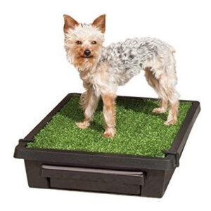 PetSafe Pet Loo - Baño Portátil para Mascotas Pequeñas: Solución Higiénica y Cómoda para el Hogar, Fácil Limpieza y Entrenar a tu Perro, Ideal para De