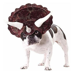 Disfraz de Triceratops Café para Perro Mediano - Marca ArX - Diseño Realista y Cómodo - Ideal para Halloween, Fiestas Temáticas y Fotos Divertidas - M