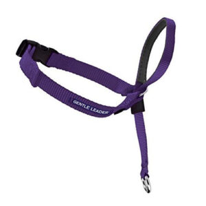 Collar de Cabeza PetSafe para Perros Grandes: Control Suave y Eficaz + DVD de Entrenamiento para un Adiestramiento Completo y sin Tirones - Modelo: Ge