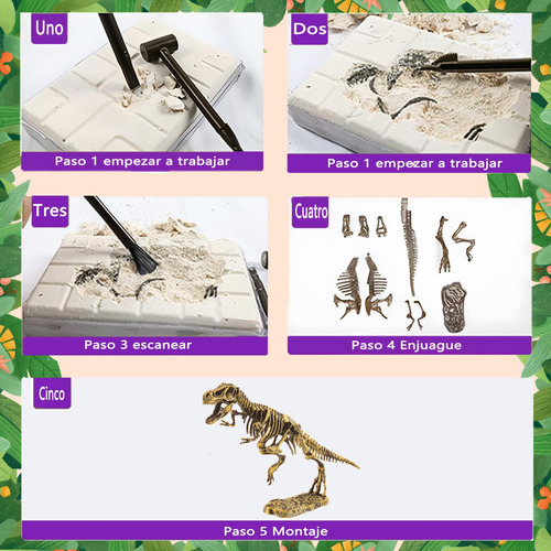 Ocean Fossil Kit De Excavación De Conchas Y Caracoles | Juego STEM +6 Años – Incluye Herramientas Y Guía Educativa