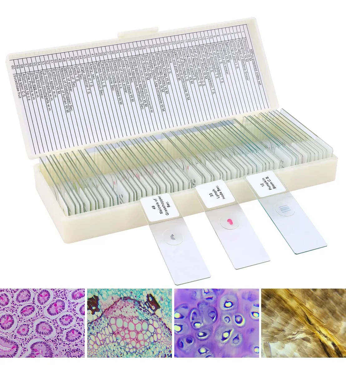60 Muestras Preparadas para Microscopio: Kits Educativos Variados para Estudiantes y Profesionales | Calidad Óptica Superior
