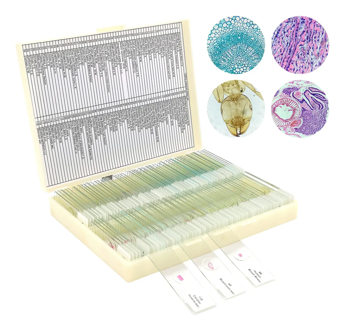120 Muestras Preparadas para Microscopio - Pack Educativo Completo para Biología y Ciencia - Ideal para Estudiantes y Laboratorios