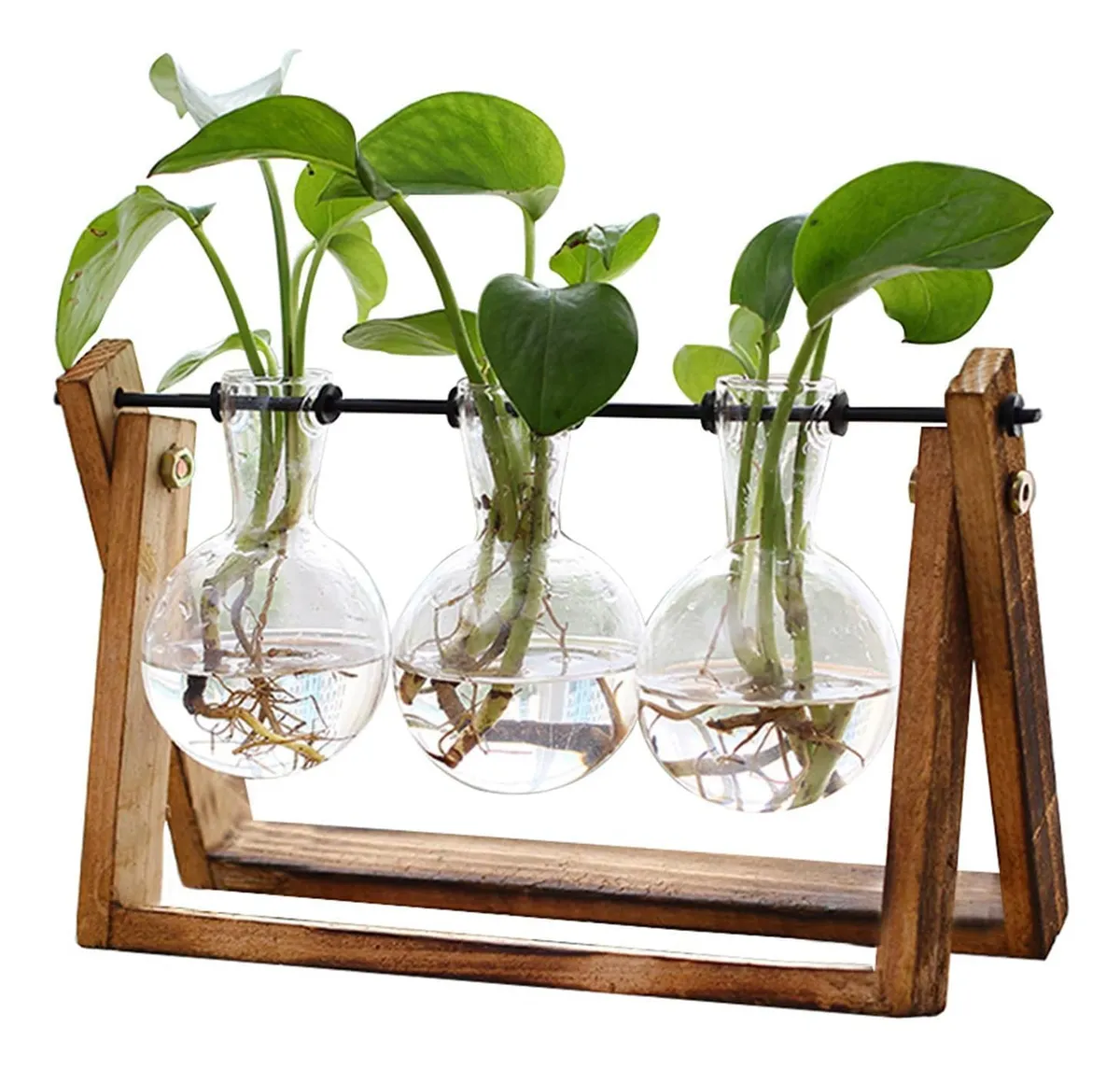 Estación de Propagación de Plantas Terrario con Soporte para Esquejes y Semillas | Diseño Elegante y Funcional