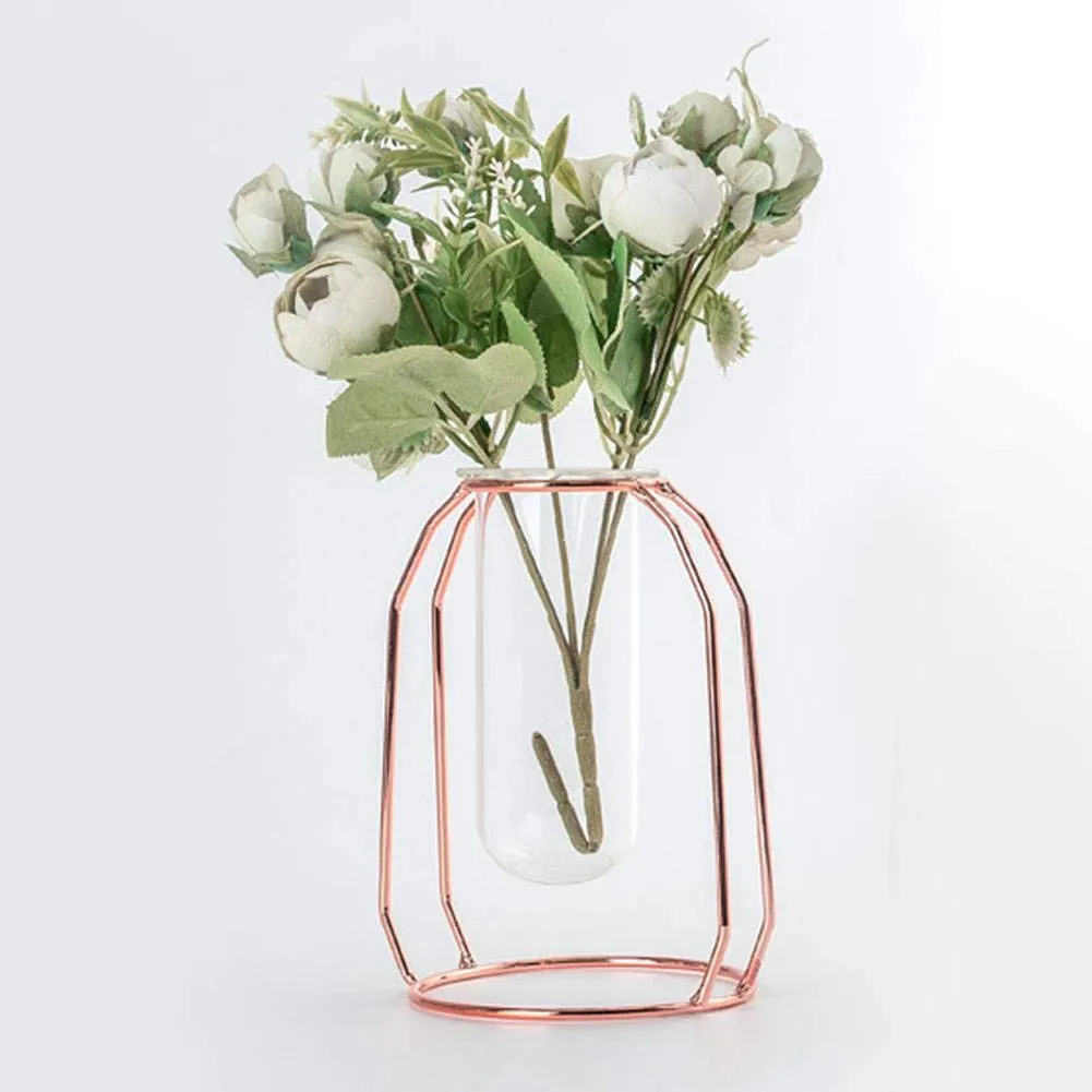 Maceta Hidropónica Transparente de Vidrio y Metal para Jardín Interior | Ideal para Cultivo sin Tierra | Diseño Moderno y Duradero