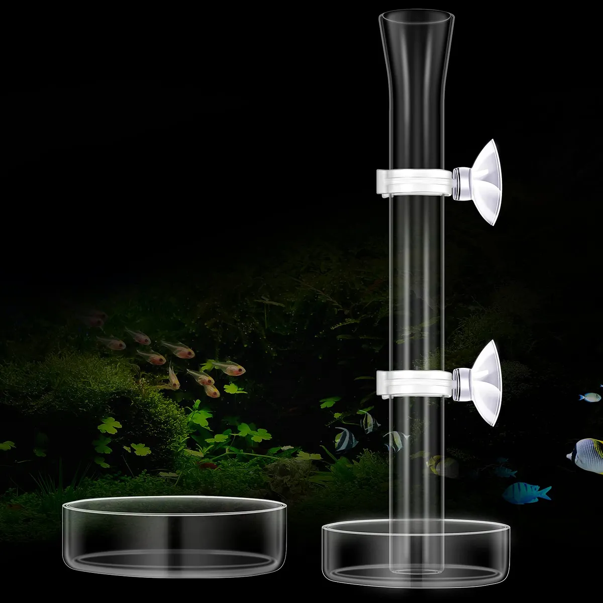 Juego de 3 Tubos de Alimentación y 2 Platos para Camarones - Accesorios Esenciales para Acuarios y Camarones - Kit Completo para tu Gambario