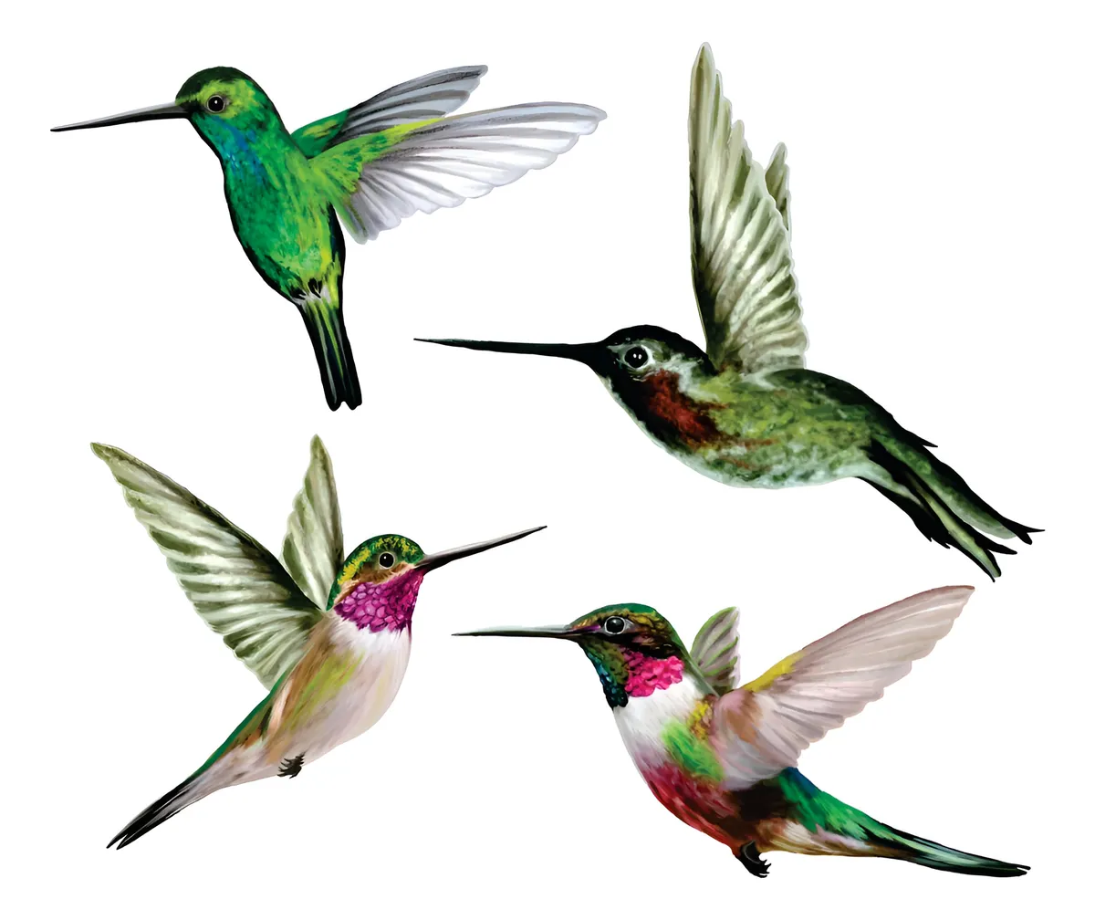 Adhesivos Decorativos para Ventanas con Diseño de Colibrí - Seguridad para Vidrio en Puertas y Ventanas - Pegatinas Decorativas para Hogar y Oficina