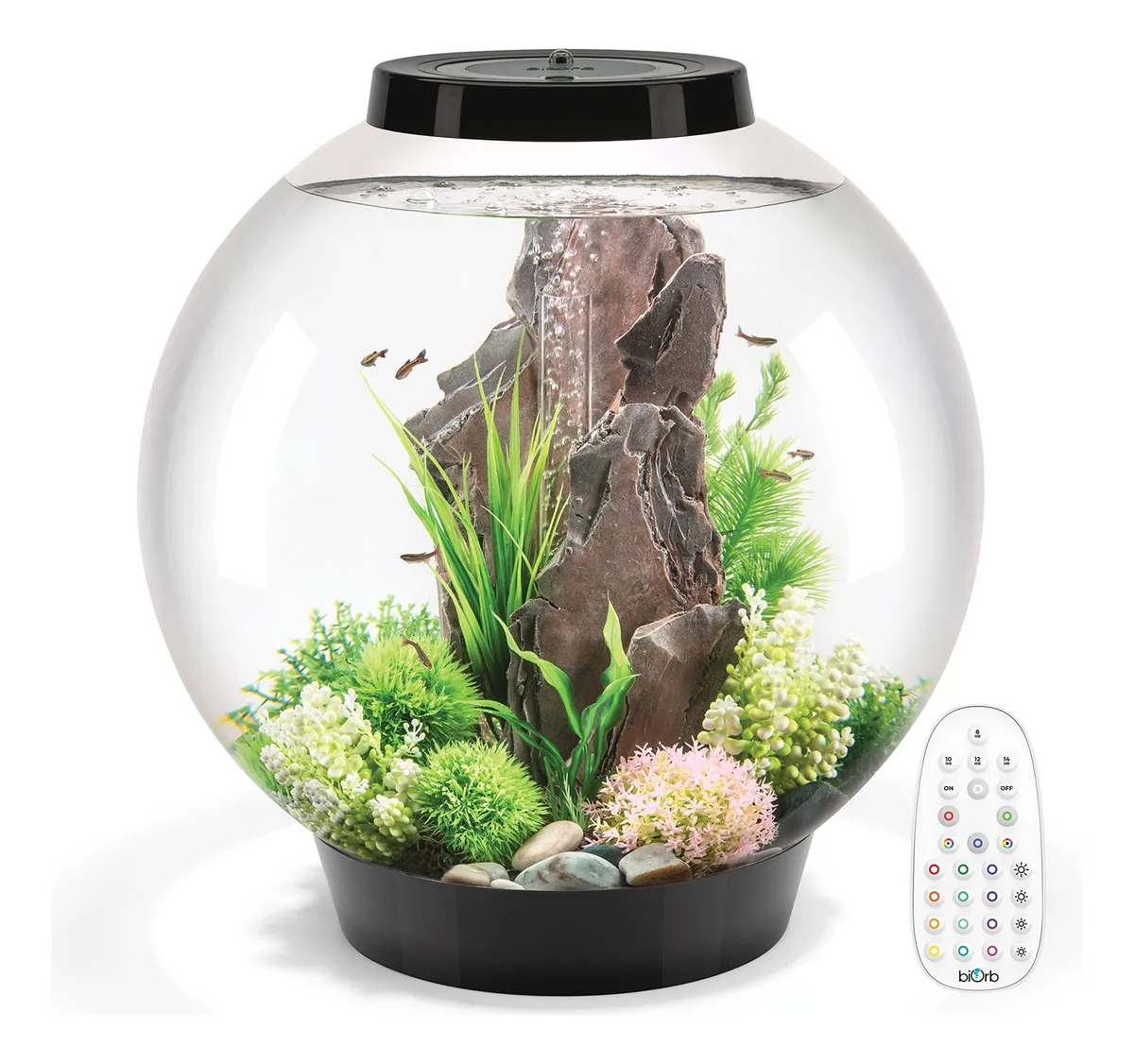 Acuario Biorb Classic 60 con Luz MCR Negro - Diseño Moderno y Completo para Peces Tropicales y de Agua Fría - Capacidad 60 Litros - Acabado Negro Elegante