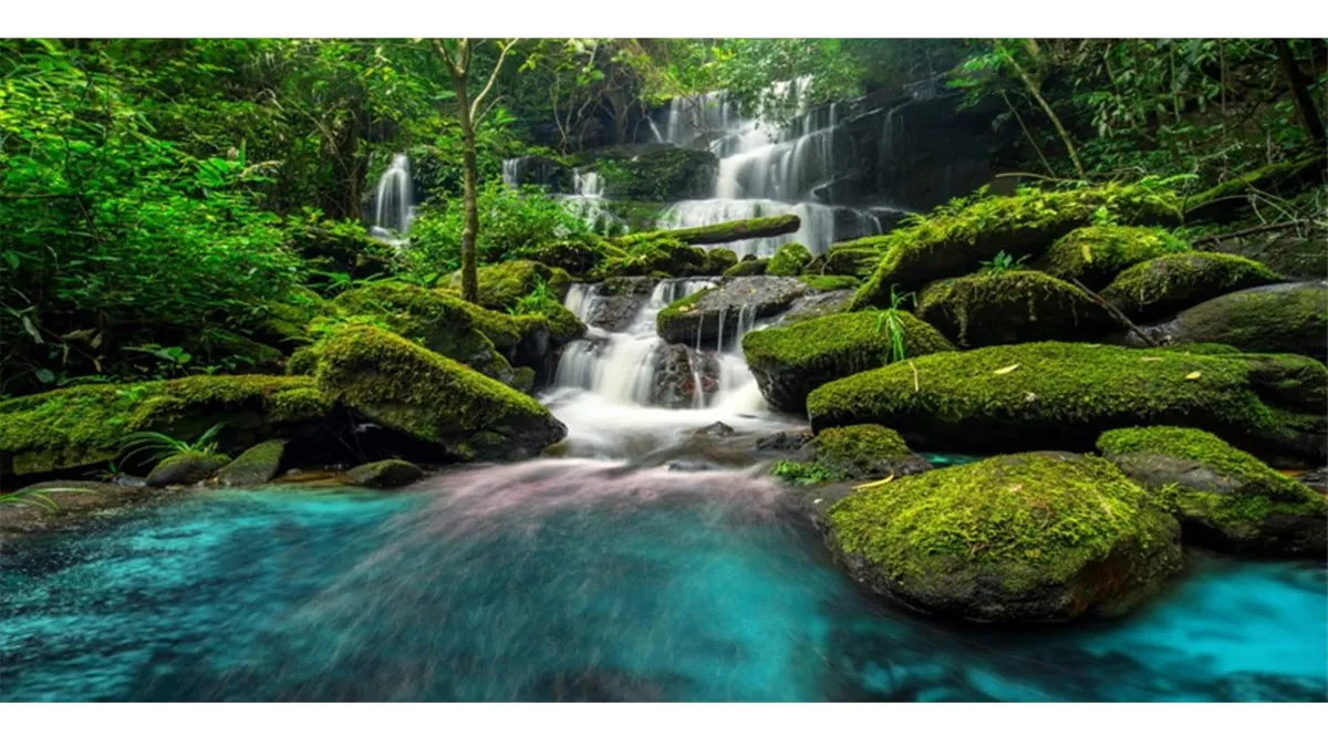 Fondo de Terrario Cascada Verde Impreso para Reptiles y Acuarios - Decoración Realista y Natural
