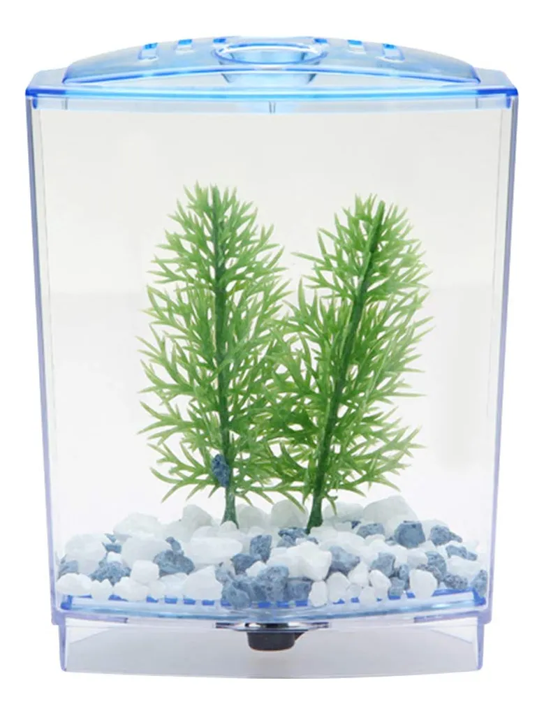 Acuario Betta Pequeño Acrílico Transparente Portátil Miniatura | Ideal para Hogar y Oficina | Diseño Minimalista y Elegante | Sin Filtro Incorporado | Transparente Brillante