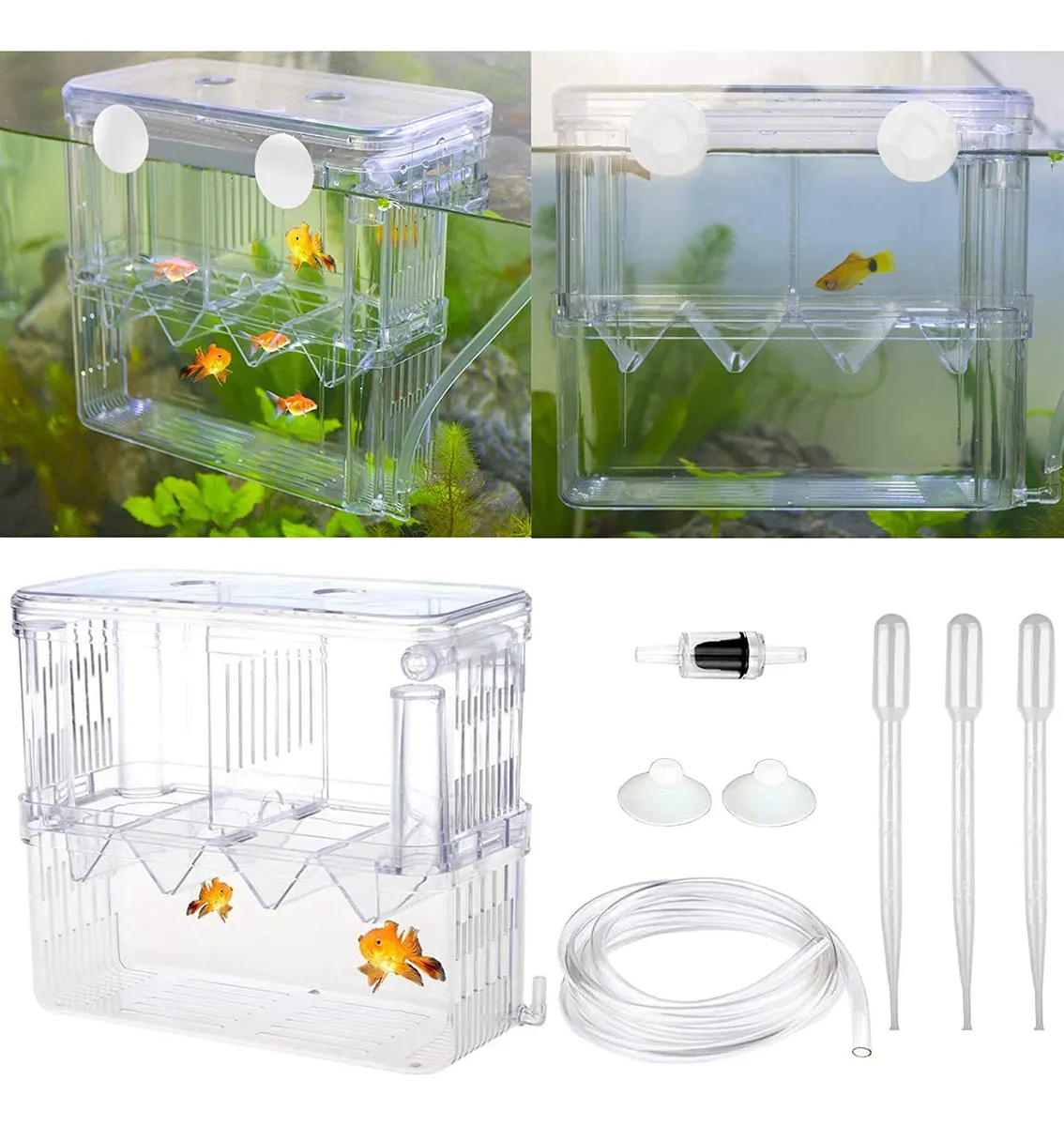 Caja de Aislamiento Multifuncional para Peces - Plástico Resistente, Ideal para Cuarentena y Reproducción, Diseño Compacto para Acuarios