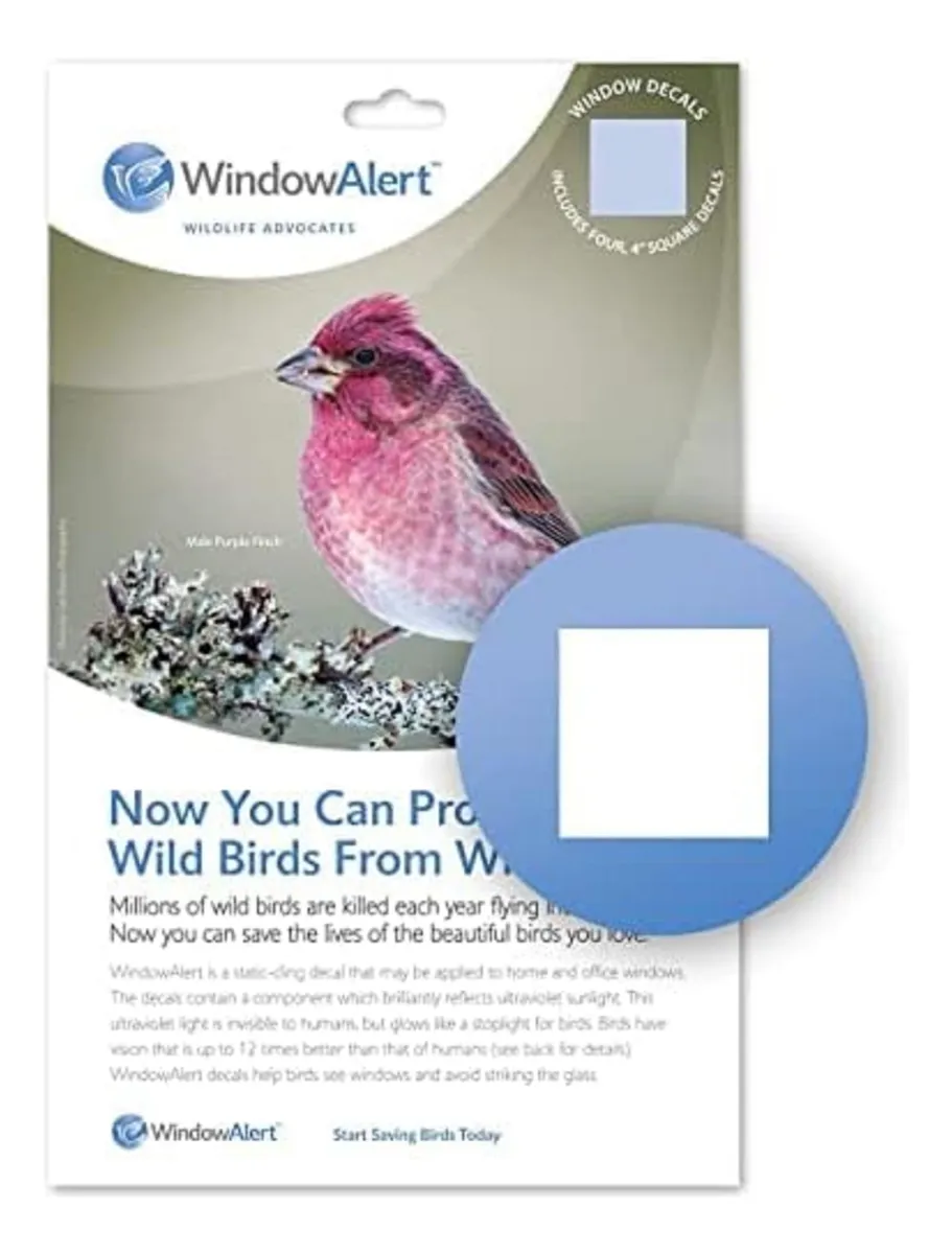 Adhesivo Protector Anticolisión Cuadrado para Ventanas: Previene Impactos de Aves y Protege Tus Cristales. Fácil Aplicación Decorativa.