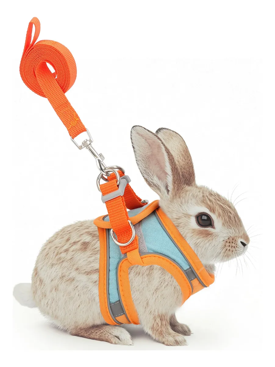 Arnés y Correa Ajustables para Conejos y Animales Pequeños, Naranja - Comodidad y Seguridad para Paseos y Entrenamiento | Kit Completo para Mascotas