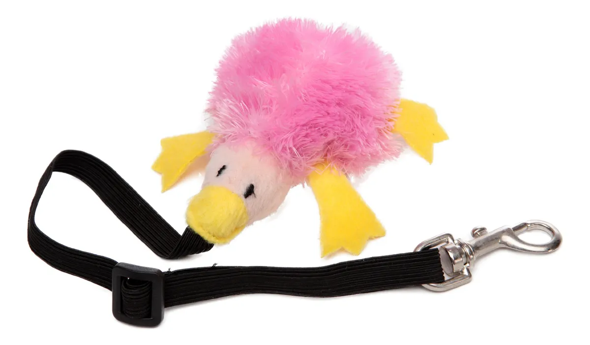 Arnés y Correa Bungee Marshall para Hurón Diseño Platypus Amarillo/Rosa - Ajustable y Seguro para Mascotas Pequeñas
