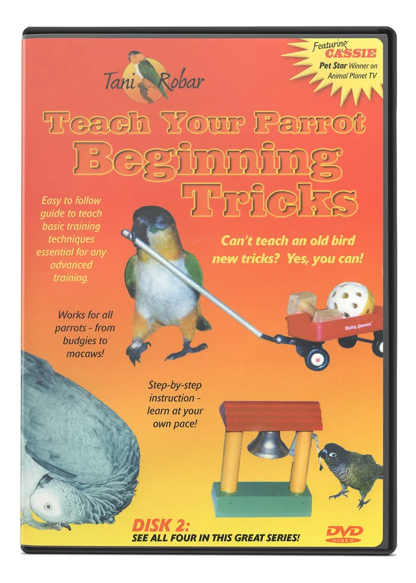 Guía de Trucos Básicos para Loro Disco 2: Entrenamiento Divertido y Fácil para tu Ave Exótica, Consejos de Cuidado y Bienestar