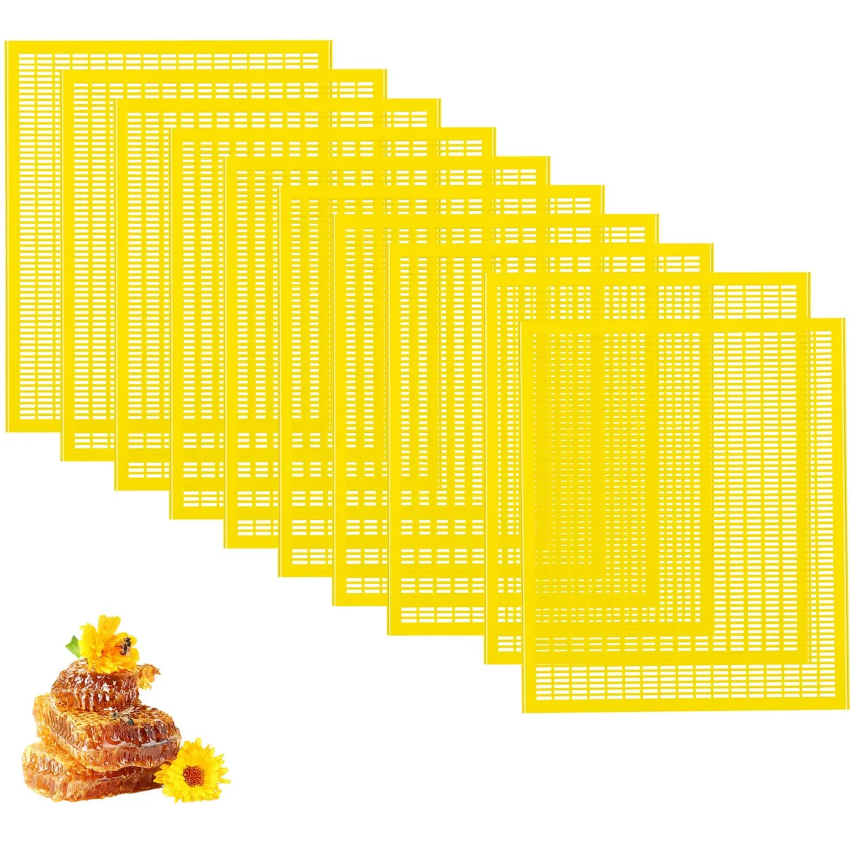 10 Piezas Marcos con Excluidor de Reina Plástico para Colmenas de Abejas - Imprescindible Apicultura Profesional
