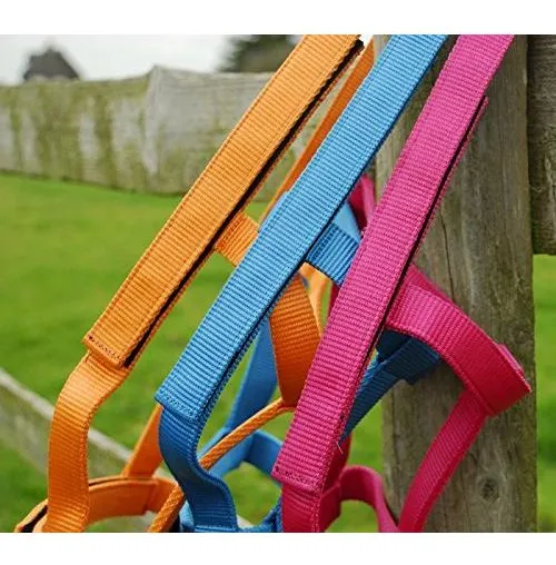Cabestro Seguridad Campo Cob Color Frambuesa | Arnés Antitarazón para Caballos | Diseño Transpirable y Resistente | Talla Cob | Elegante Frambuesa
