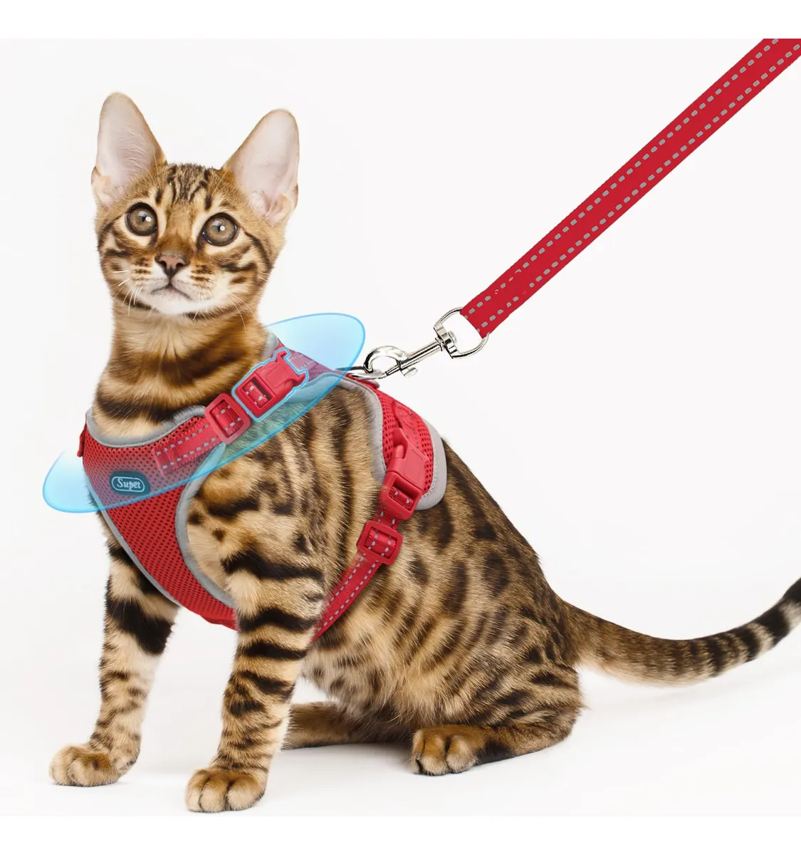 Arnés y Correa para Gatos a Prueba de Escape, Diseño de Collar Ajustable para Mascotas, Color Rojo, Talla Única para Máxima Seguridad y Comodidad en Paseos