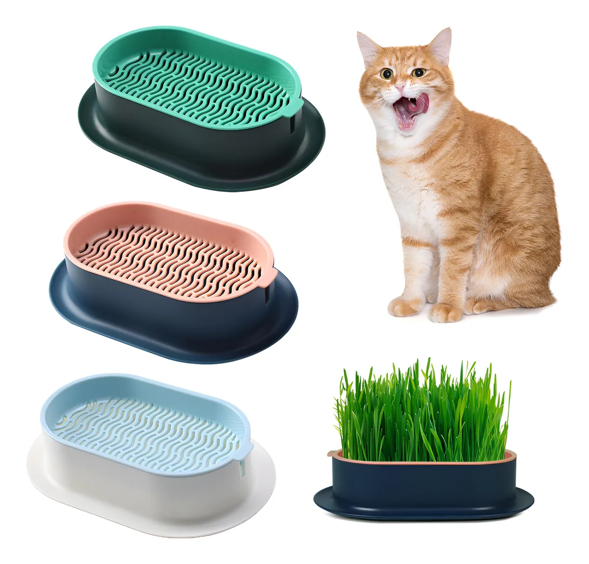3 Macetas Hidropónicas para Hierba de Gato - Bandeja Cultivo Interior Fácil y Rápida para Mascotas - Kit Jardín Zen para Hogar