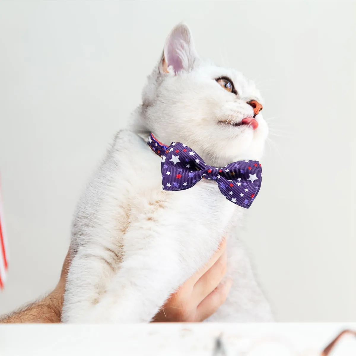 Corbata de Gato Patriótica para el 4 de Julio con Campana - Estilo USA, Nombre del Diseño, Collar Ajustable para Mascotas - Celebración Festiva Americana - Imagen 6