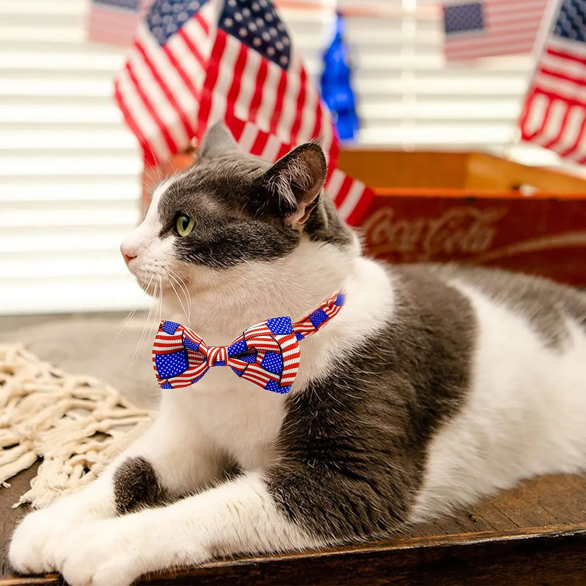 Corbata de Gato Patriótica para el 4 de Julio con Campana - Estilo USA, Nombre del Diseño, Collar Ajustable para Mascotas - Celebración Festiva Americana - Imagen 5