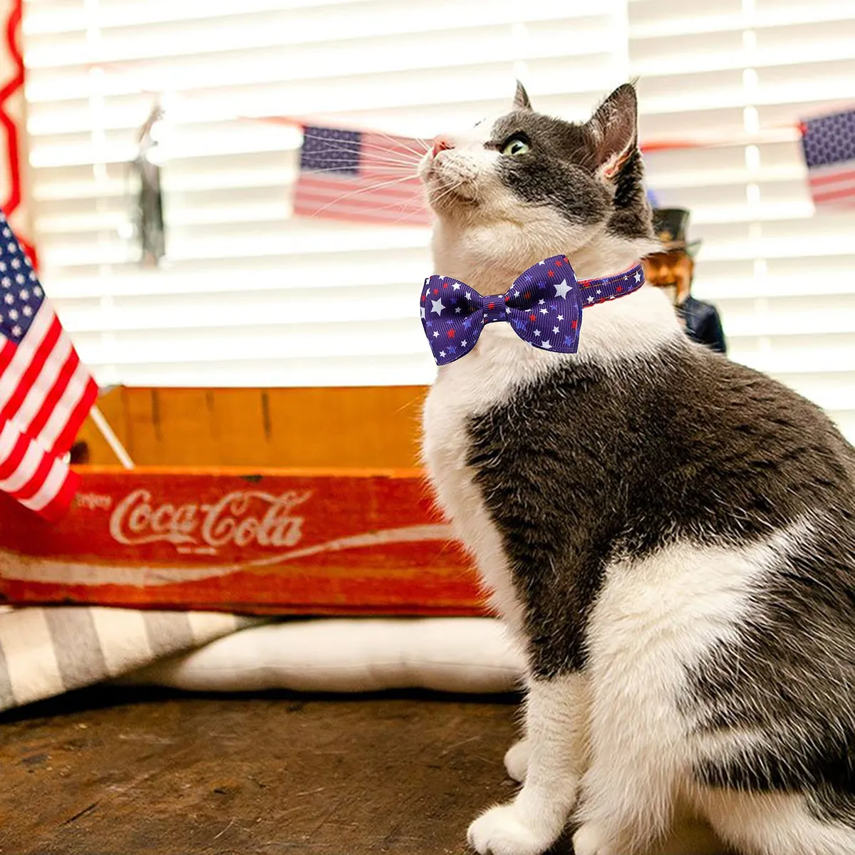 Corbata de Gato Patriótica para el 4 de Julio con Campana - Estilo USA, Nombre del Diseño, Collar Ajustable para Mascotas - Celebración Festiva Americana - Imagen 7