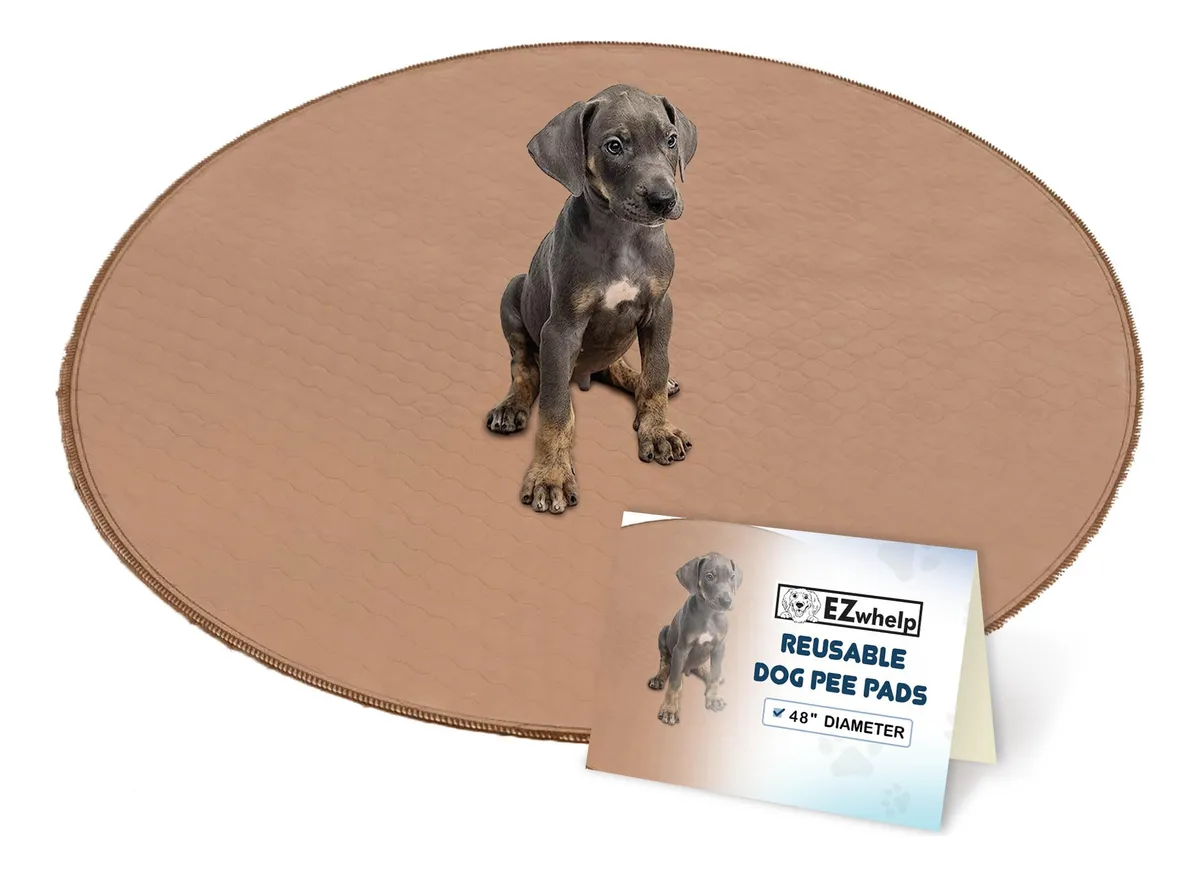 Alfombra Absorbente Lavable para Perros Reutilizable - Higiene y Comodidad para tu Mascota | Ideal para Entrenamiento y Viajes