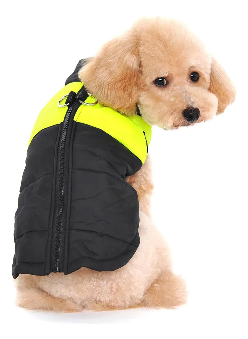 Abrigo Impermeable Acolchado para Perro - Invierno Cálido y Confortable, Protección contra Lluvia y Frío - Diseño Robusto y Duradero - Color Verde Intenso