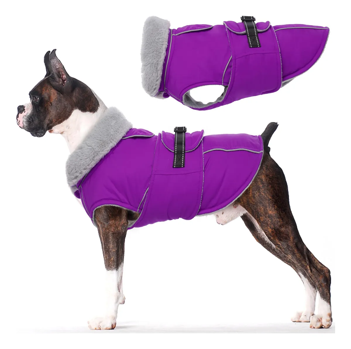 Abrigo Chaleco Impermeable Reflectante para Perro - Morado Cálido y Seguro para Invierno