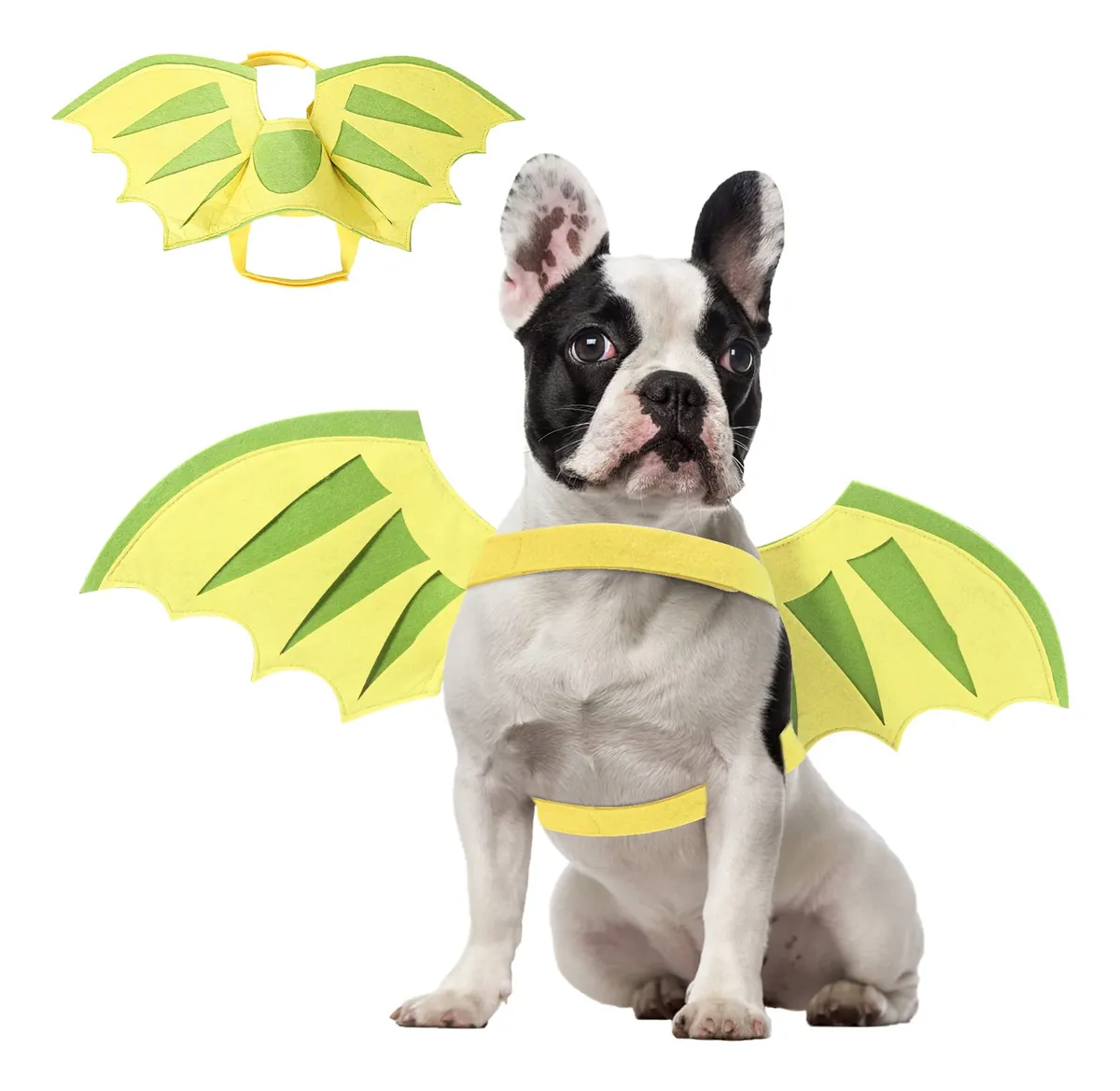 Alas de Dragón para Disfraz de Halloween Perros y Gatos | Accesorio Divertido y Seguro para Mascotas | Color Dorado Elegante | Ideal para Fiestas y Fotos