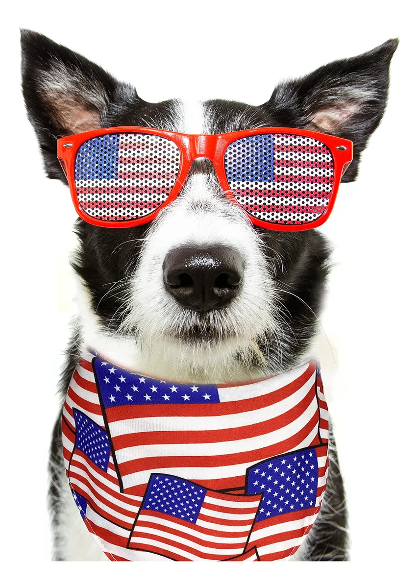 Paquete 2 Bandanas Día de la Independencia para Mascotas - Diseño Patriótico Temático Festivo para Perros y Gatos - Accesorios Decorativos para Celebraciones - Imagen 4