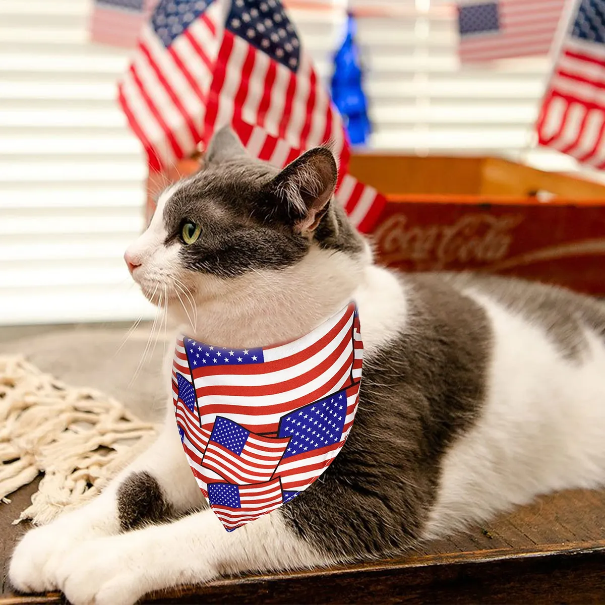 Paquete 2 Bandanas Día de la Independencia para Mascotas - Diseño Patriótico Temático Festivo para Perros y Gatos - Accesorios Decorativos para Celebraciones - Imagen 6