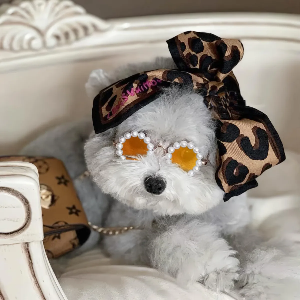 Anteojos de Sol Lindos para Perro - Accesorios de Fiesta y Disfraz Estilo Oro - Complemento Divertido para tu Mascota